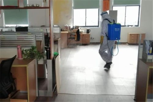 北京大興食品廠蟲控消毒、除臭蟲服務(wù)與保潔服務(wù)收費標準解析